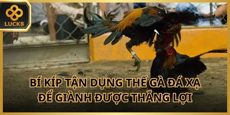 bi-kip-tan-dung-the-ga-da-xa-de-gianh-thang-loi
