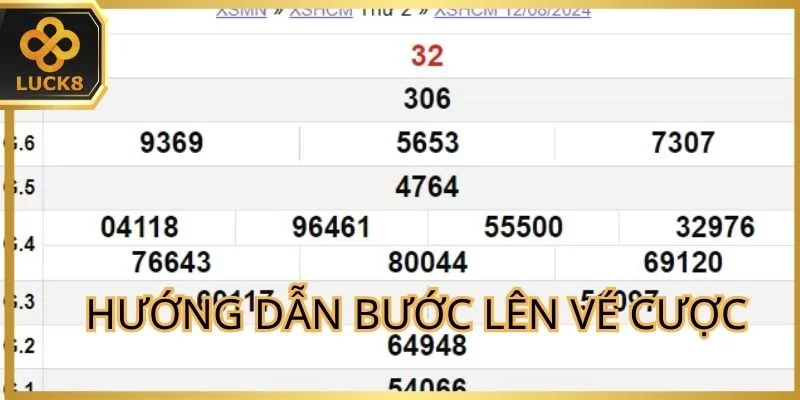 chuyen-gia-huong-dan-cac-buoc-len-ve-cuoc