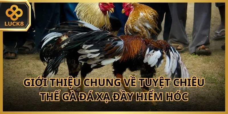 gioi-thieu-chung-ve-the-ga-da-xa