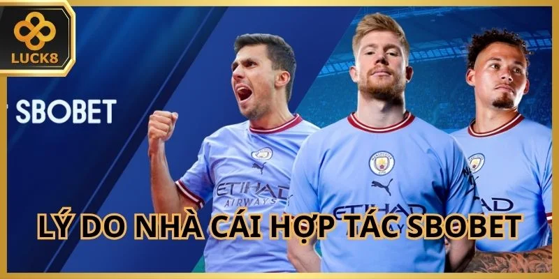 ly-do-nha-cai-hop-tac-chat-che-voi-sbobet