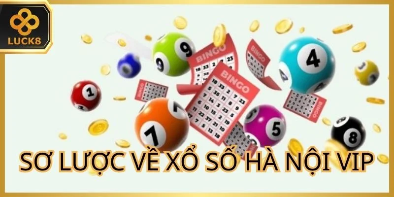 tong-quan-ve-hinh-thuc-choi-xs-ha-noi-vip